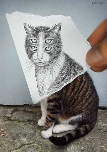 Pencil Vs Camera - 6