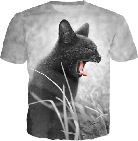 Amazing Shouting Cat T-shirt and Clothes (1)