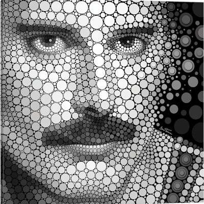 Freddie Mercury - Canvas Print