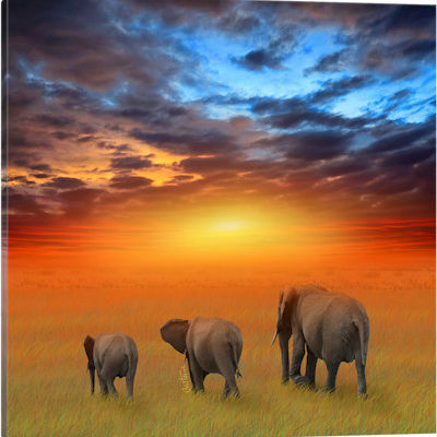 The Future Is Bright - Canvas Print