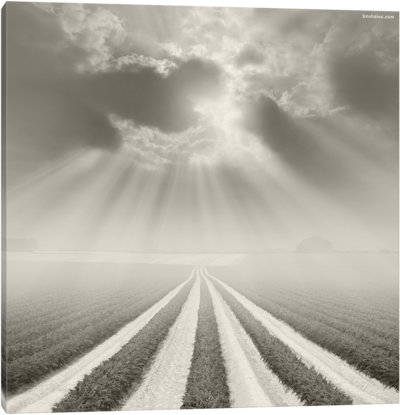 There Is A God Somewhere - Canvas Print