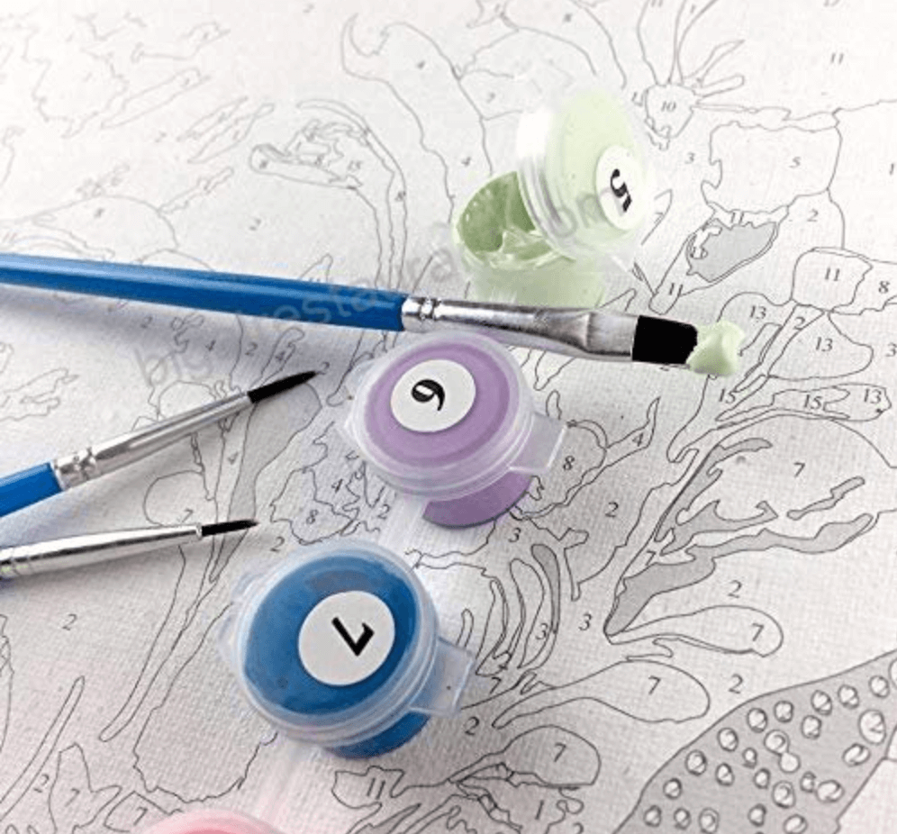 Paint By Numbers