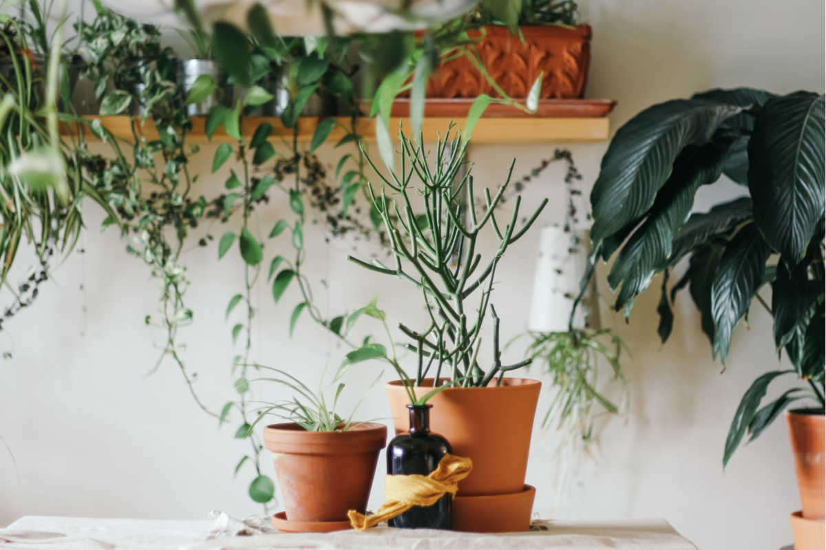 8 Art Ideas That Can Completely Transform Your Living Room