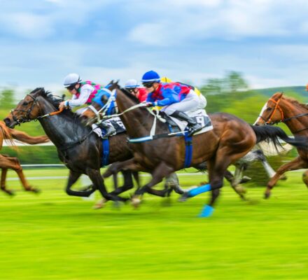 Best Horse Racing Photographers In The World