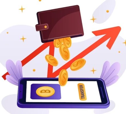 Discover the Powerful Features of VeChainThor Wallet