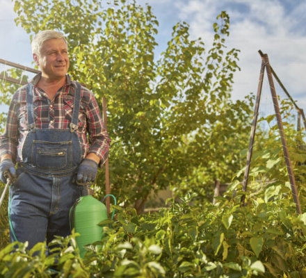 Monsanto to Pay $1.5 Billion for Roundup Lawsuit: Side Effects of this Weedkiller