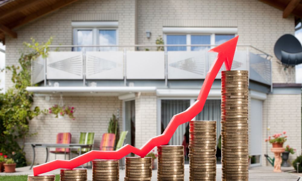 Transformer des Objets de Collection Numériques en Profits Réels