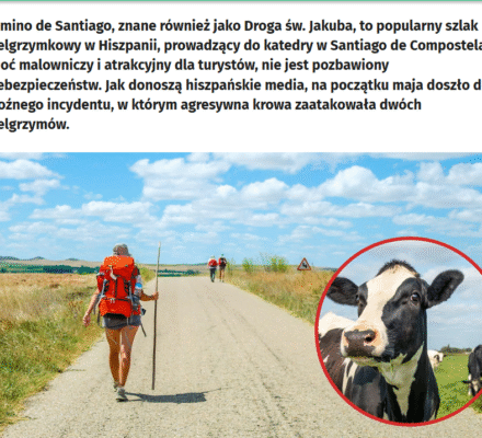 Zielony